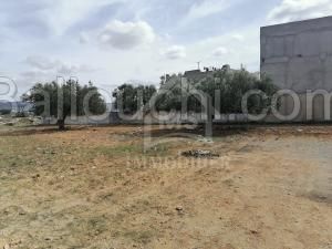 Un terrain de 360 m² à Manaret El Hammamet à vendre à 440 DT/ m² 51355351