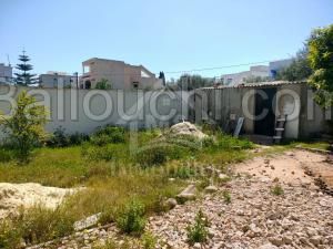 un superbe terrain 250m² à VENDRE à MANARET ELHAMMAMET 51333131