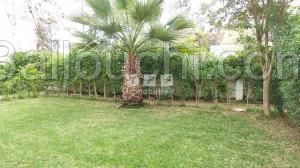 Appartement NAYFER (Réf: V346)