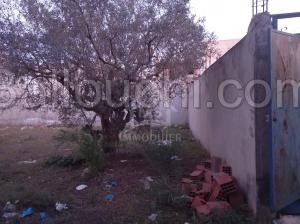 à vendre un terrain à HAMMAMET SUD 51333131