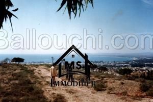 A vendre à Hammamet, des lots de terrain vue de mer à 350 dt/ m² 51355351
