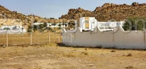 À VENDRE UN TERRAIN 100M² à HAMMAMET SUD 51333131