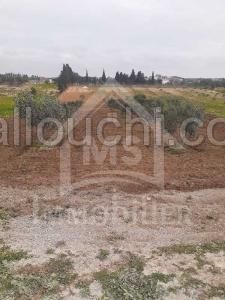 à vendre un Terrain 2200m² à BirBouragba 51333131