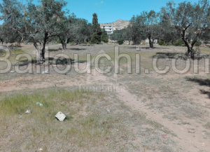 Un terrain de 650 m² à vendre à Mrezga 51355351