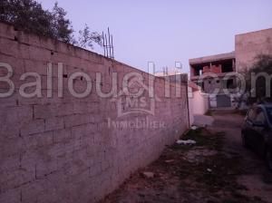 Un terrain de 500 m² à vendre à Sidi Hammed à 150 MD 51355351