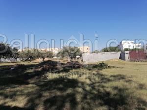 Terrain de 555 m² à vendre à Hammamet Sud à 555 MD 51355351