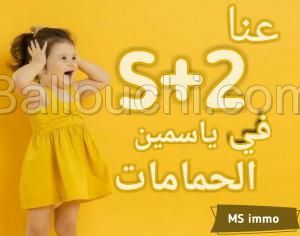 Des appartements S+2 à vendre à Yasmine Hammamet 51355351