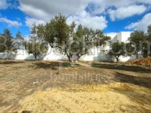 Joli terrain de 220 m² à vendre à 120 MD à Mrezga 51355351