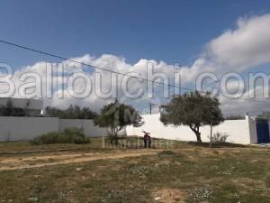 à vendre un Superbe terrain 80MD à HAMMAMET SUD 51333131