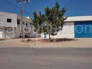 Un terrain à vendre à Hammamet à 90 MD 51355351