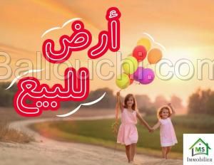 à vendre un TERRAIN à HAMMAMET SUD 51333131