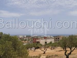 Un superbe terrain à vendre à Mrezga 51355351
