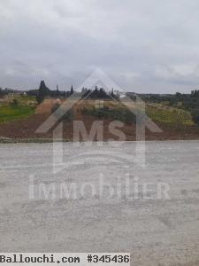 à vendre un superbe terrain 2200m² à HAMMAMET SUD 51333131