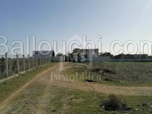 un superbe terrain 557m² à vendre à HAMMAMET SUD 51333131