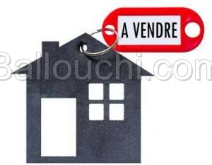 Appartement S+3 Ariana