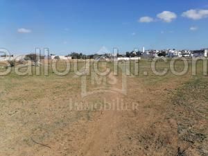 Un lot de terrain à vendre à Hammamet à 55 MD 51355351