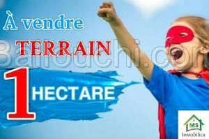 un hectare de terrain à vendre à HAMMAMET SUD 51333131