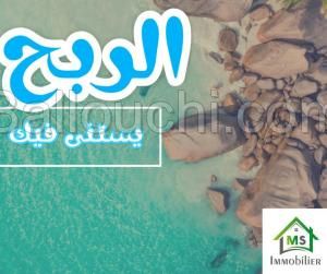 à vendre un terrain à HAMMAMET SUD 51333131