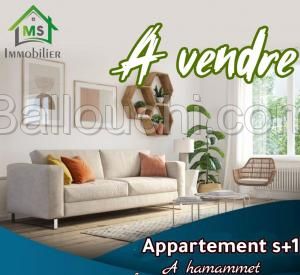 à vendre un APPARTEMENT S+1 à HAMMAMET NORD 51333131
