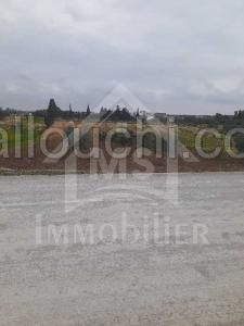 A vendre à 440 MD un superbe terrain de 2200 m² 51355351