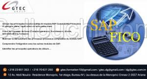 Promo Formation SAP FICO