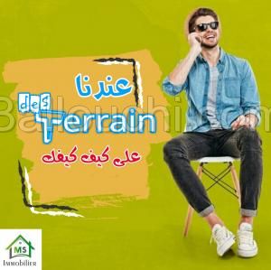 à vendre un terrain à MREZGA 51333131