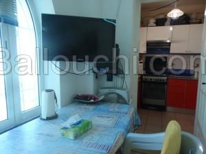 Appartement LE PILOTE (Réf: V1105)