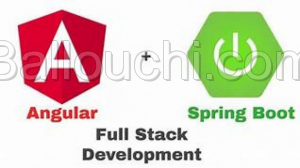 Formation pratique en Angular & Spring