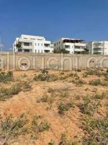 terrain 240m2 mrezga hammamet nord