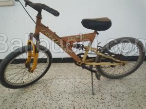 Vélo 20 pouces
