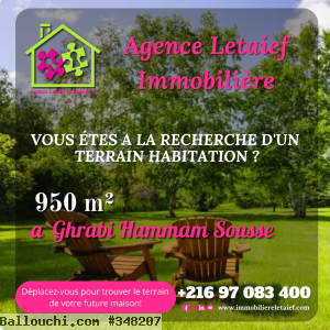 Nouvelle Offre 