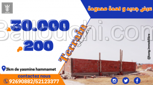 المرة هذي 200 م ² في بلاصة
