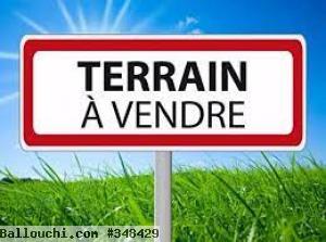 Réf : T52 Terrain Red