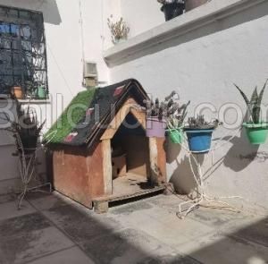 Grande niche en bois pour chien