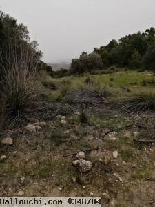 Terrain pour la Chasse Montagne et Forêt