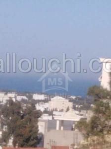 Un terrain viabilisé et clôturé à Hammamet Nord à vendre 51355351