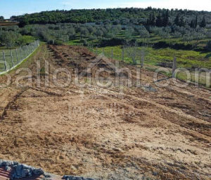 Un terrain de 1312 m² à vendre à 55 MD 51355351