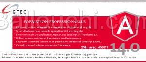 Promo Formation Angular 14