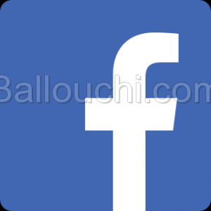 page facebook 13100 fans