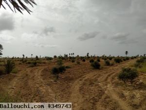 A vendre terrain en bord de mer