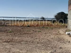 Un terrain à vendre à Maamoura 51355351