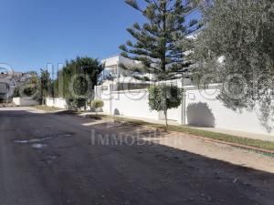 Un terrain à vendre à Hammamet Nord 51355351