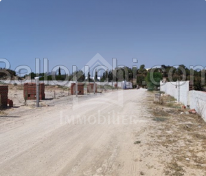 Un terrain de 1000 m² à vendre à Hammamet 51355351