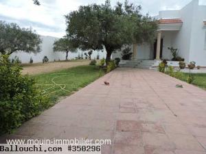 VILLA ROSA r Hammamet Sud El Bassbassia AV362