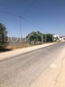 Des lots de terrains clôturés à vendre 51355351