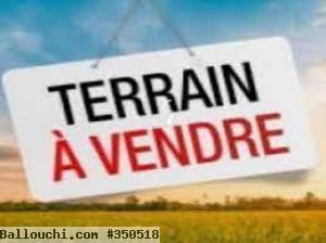 Réf : T54 Terrain Sandrine