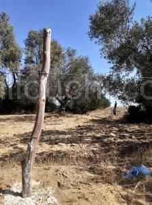 av terrain de 1456m a hammamet
