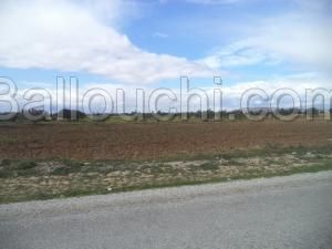 av terrain de 9000m² a hammamet sud