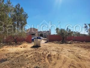 Des lots de terrain clôturés à vendre à Hammamet Sud 51355351