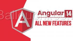 Formation Angular 14